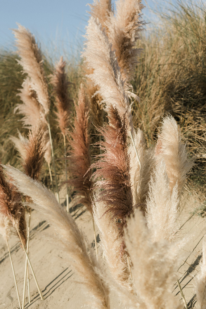 Collection 2019 : Shooting photo en Camargue 