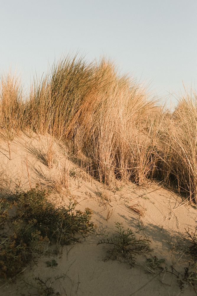 Collection 2019 : Shooting photo dans le Sud de la France 